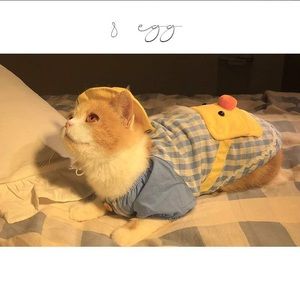 Pets Cute Duck Fux Coat